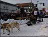 Dsc00051.jpg