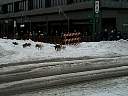 P2180035.JPG