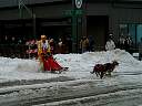P2180041.JPG