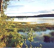 lake.JPG