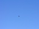 P1010017.JPG