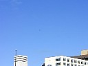 P1010024.JPG