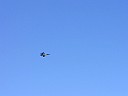 P1010025.JPG
