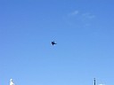 P1010026.JPG