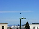 P1010029.JPG