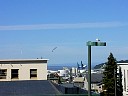 P1010038.JPG